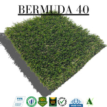 Bermuda 40
