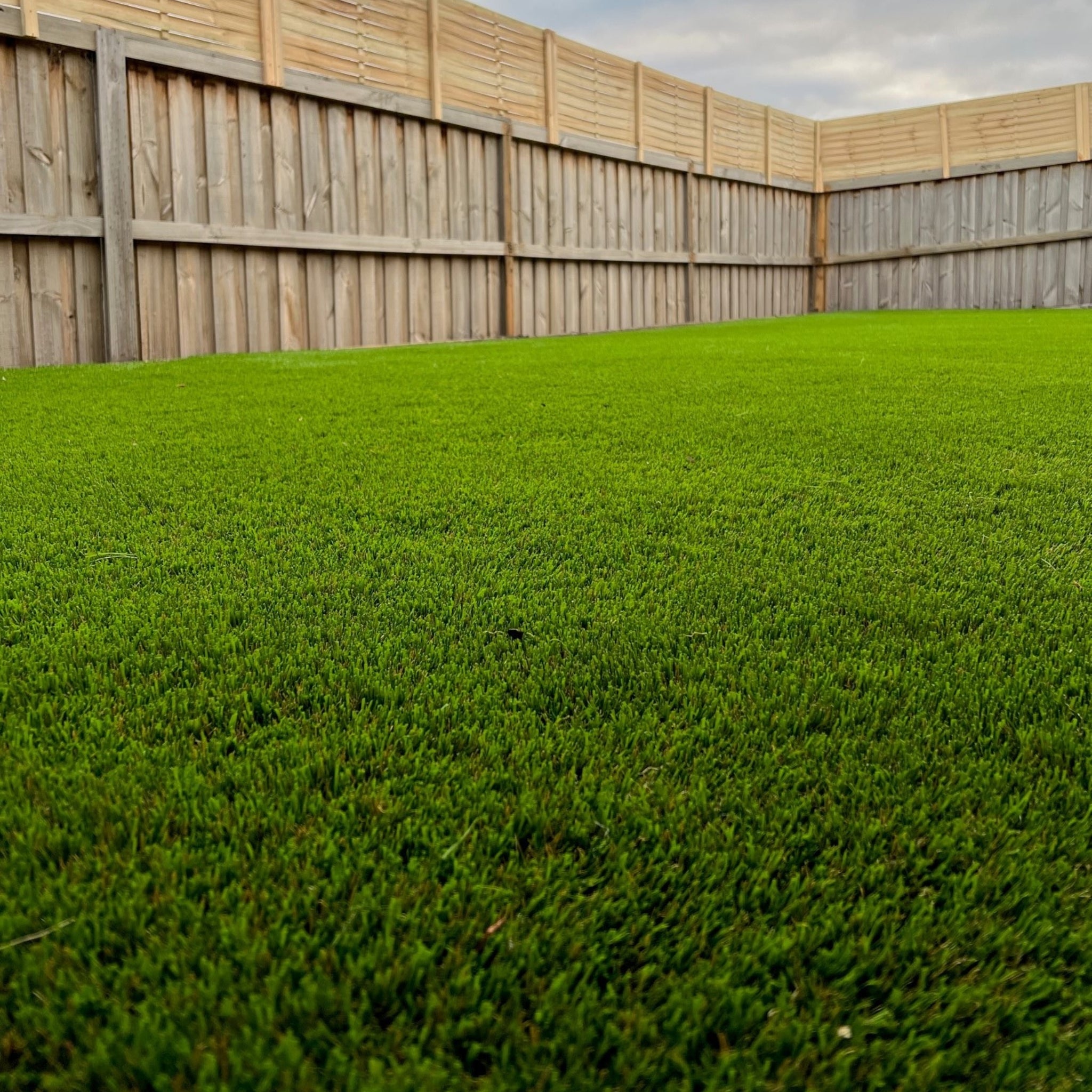 artificial grass synthetic turf fake lawn dog friendly grass ausgrass near me