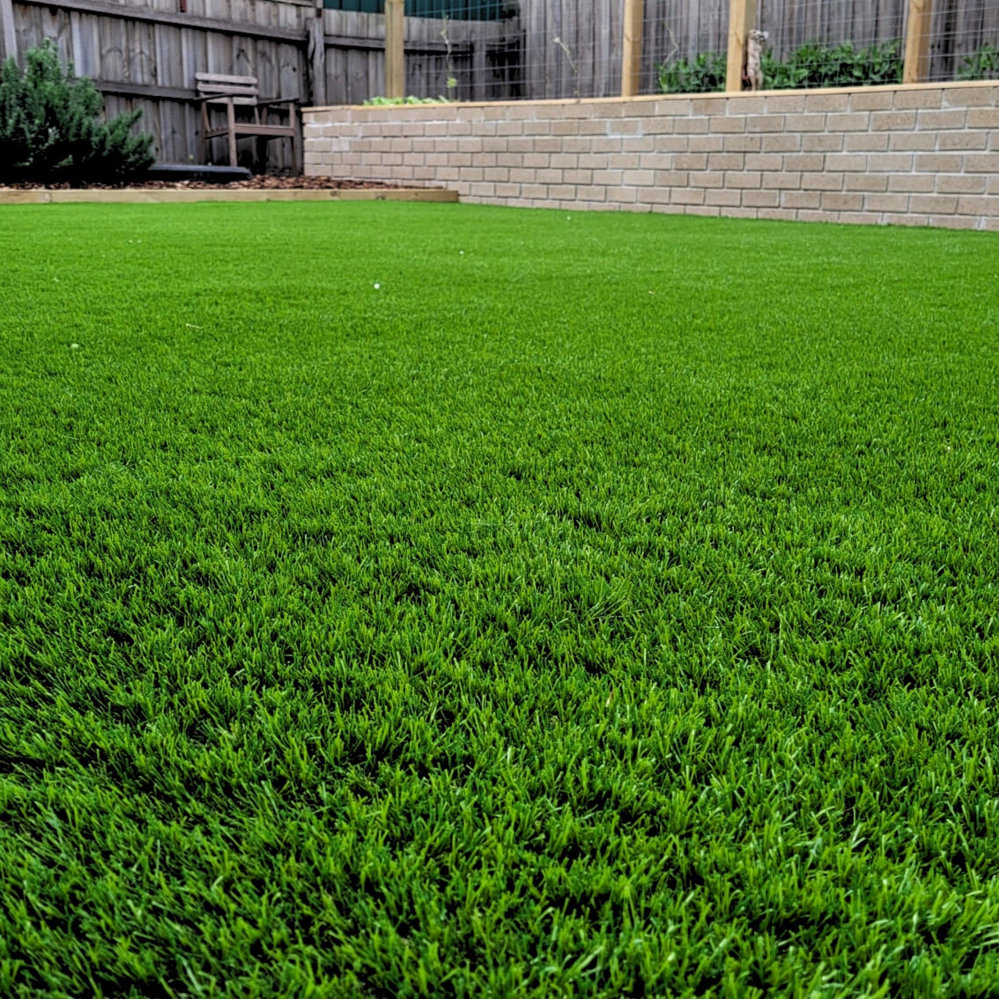 artificial grass synthetic turf fake lawn dog friendly grass ausgrass near me