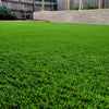 artificial grass synthetic turf fake lawn dog friendly grass ausgrass near me