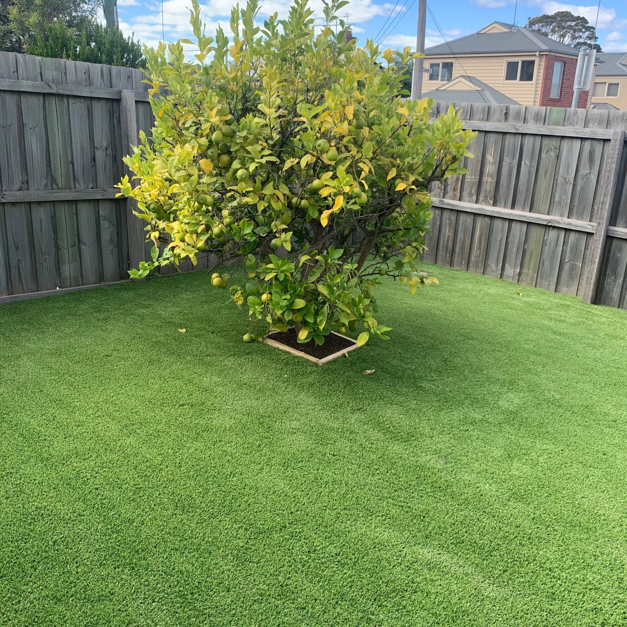 artificial grass synthetic turf fake lawn dog friendly grass ausgrass near me cool grass