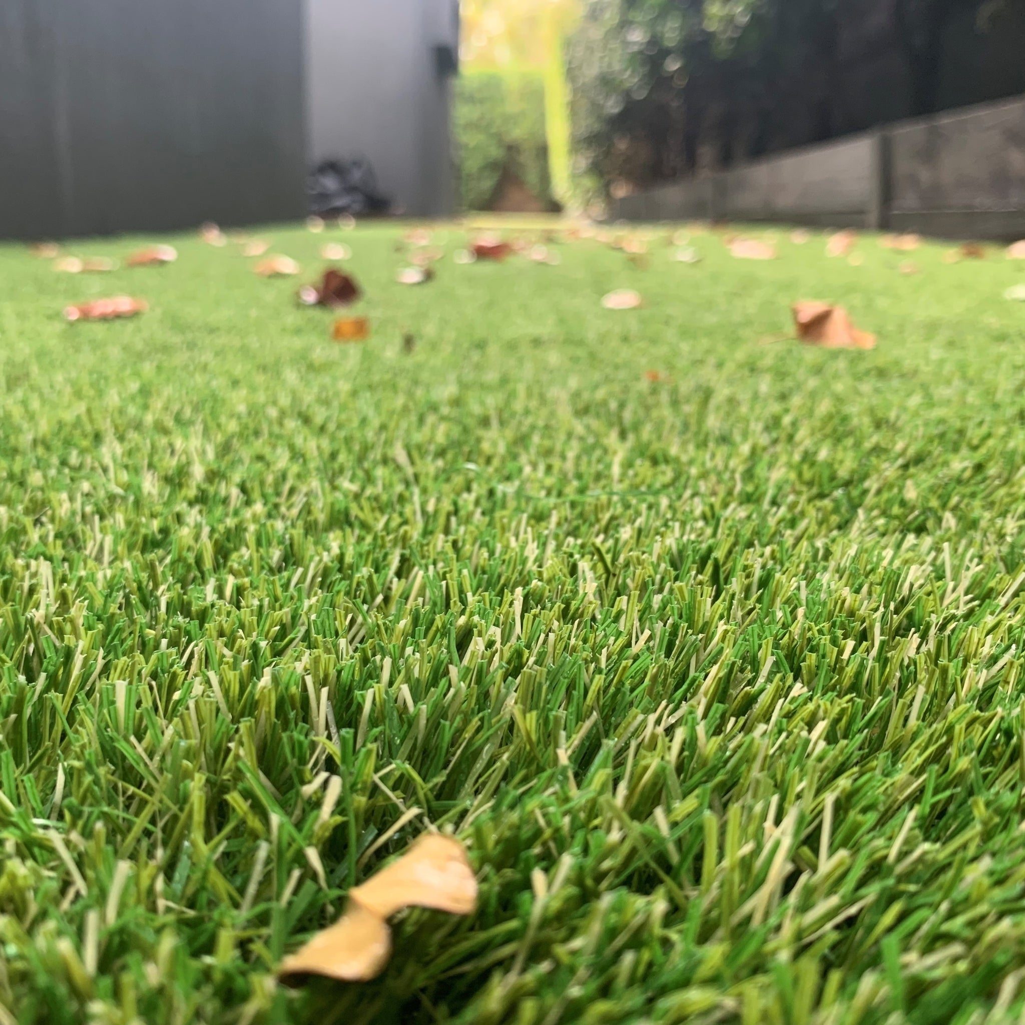 artificial grass synthetic turf fake lawn dog friendly grass ausgrass near me cool grass