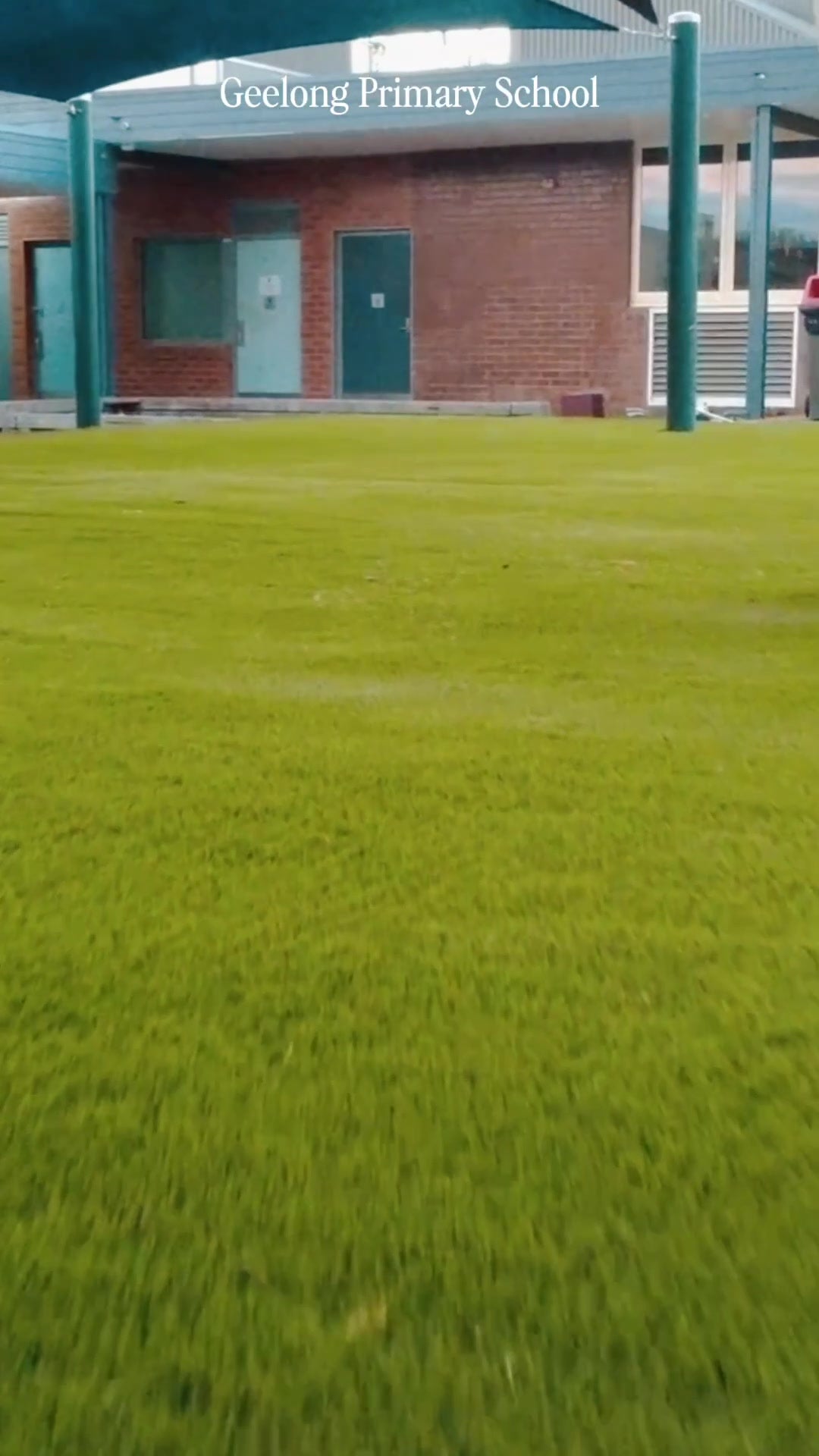 artificial grass primary school