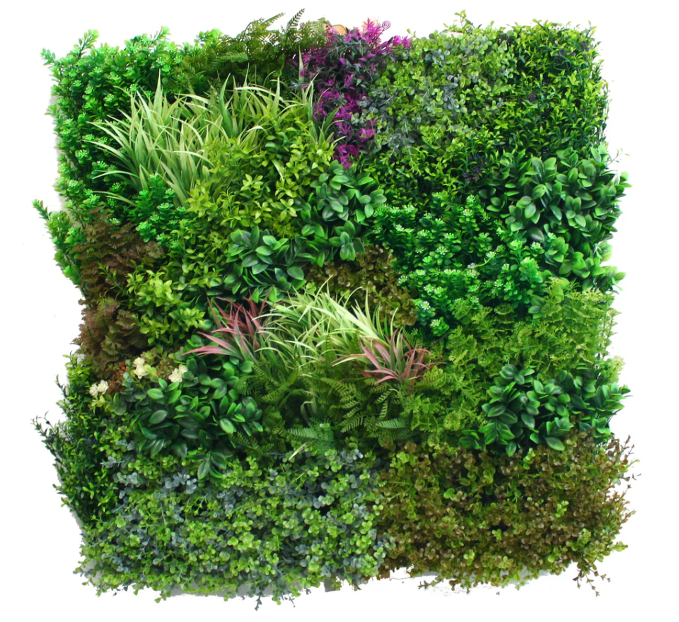 Premium Domain - XH001