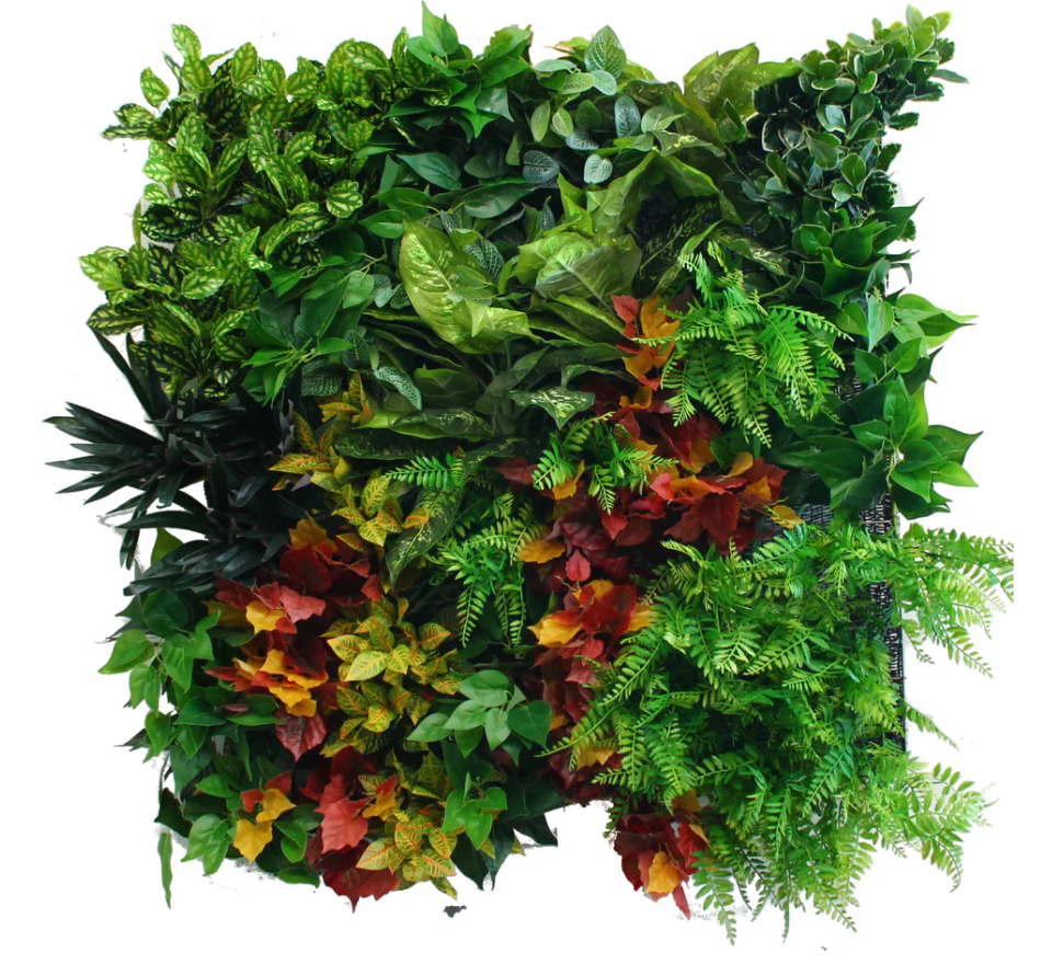 Autumn Amazing - XH-002