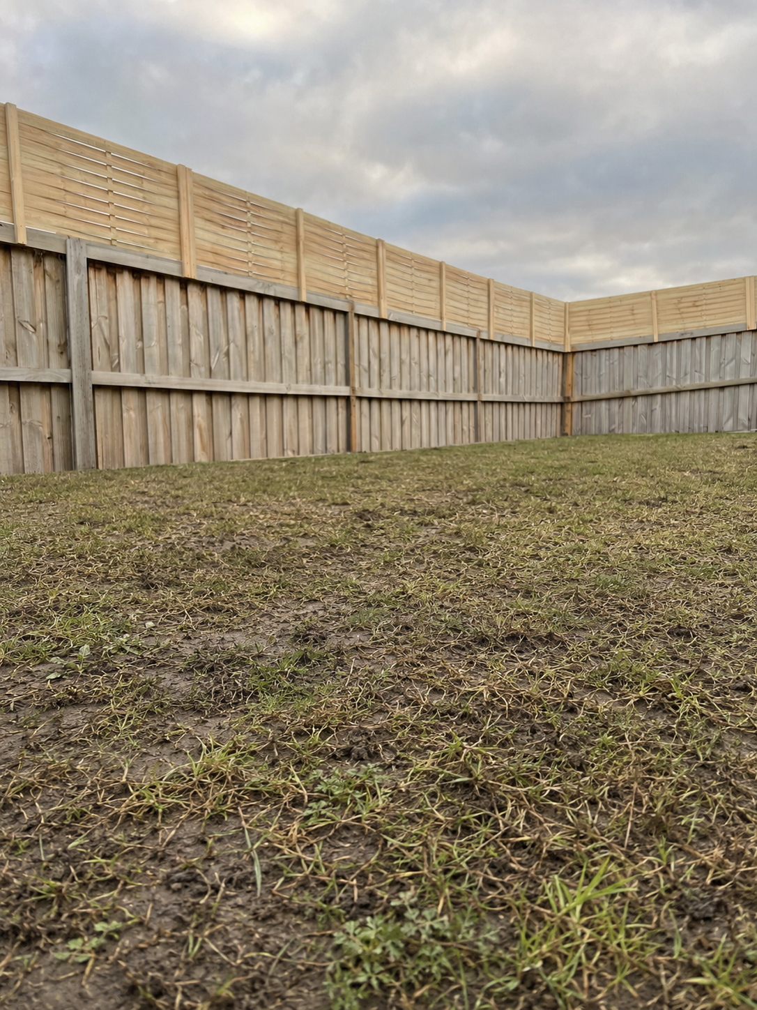 Backyard after Buffalo 45 installation