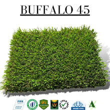 Buffalo 45