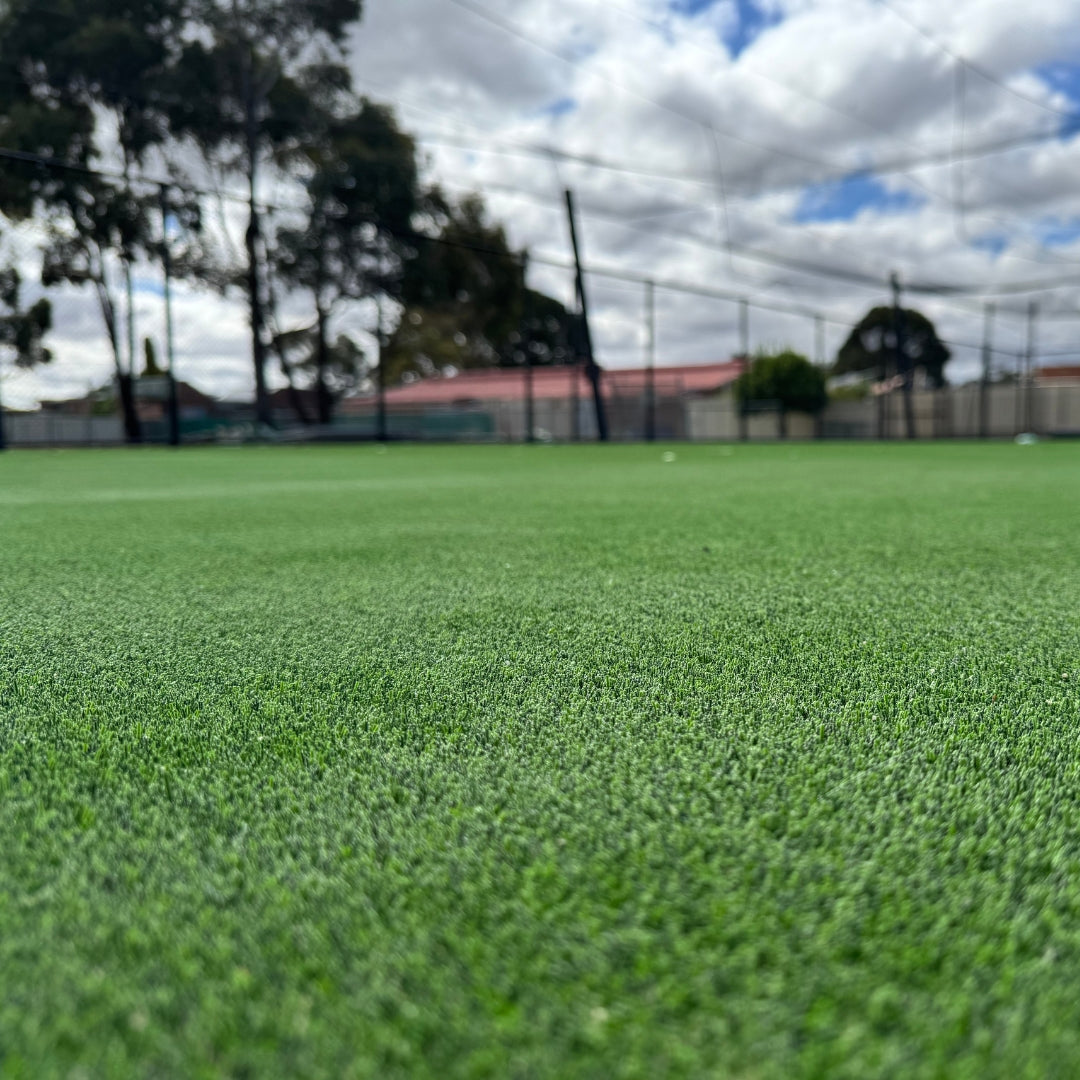 Ground-level photograph of the cricket turf playing surface