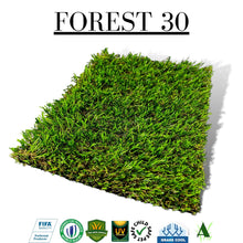  Forest 30