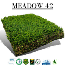 Meadow 42
