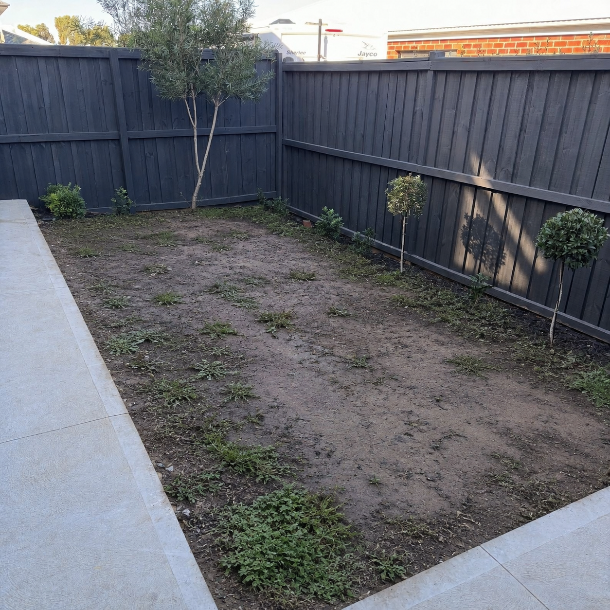 Backyard after Meadow 42 installation