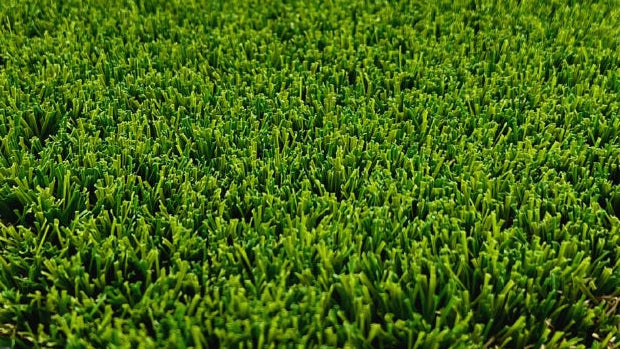Meadow 42 grass texture