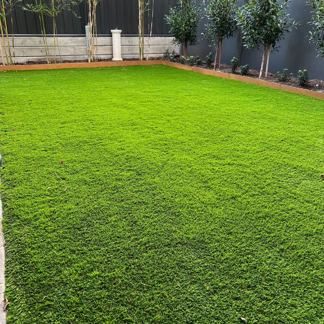 Native Blend 40 installed in a backyard