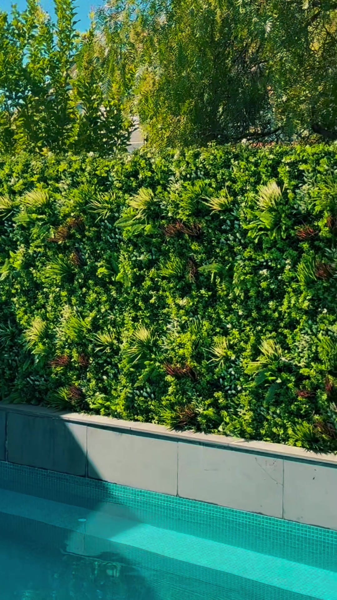 swimming pool oasis artificial plant wall