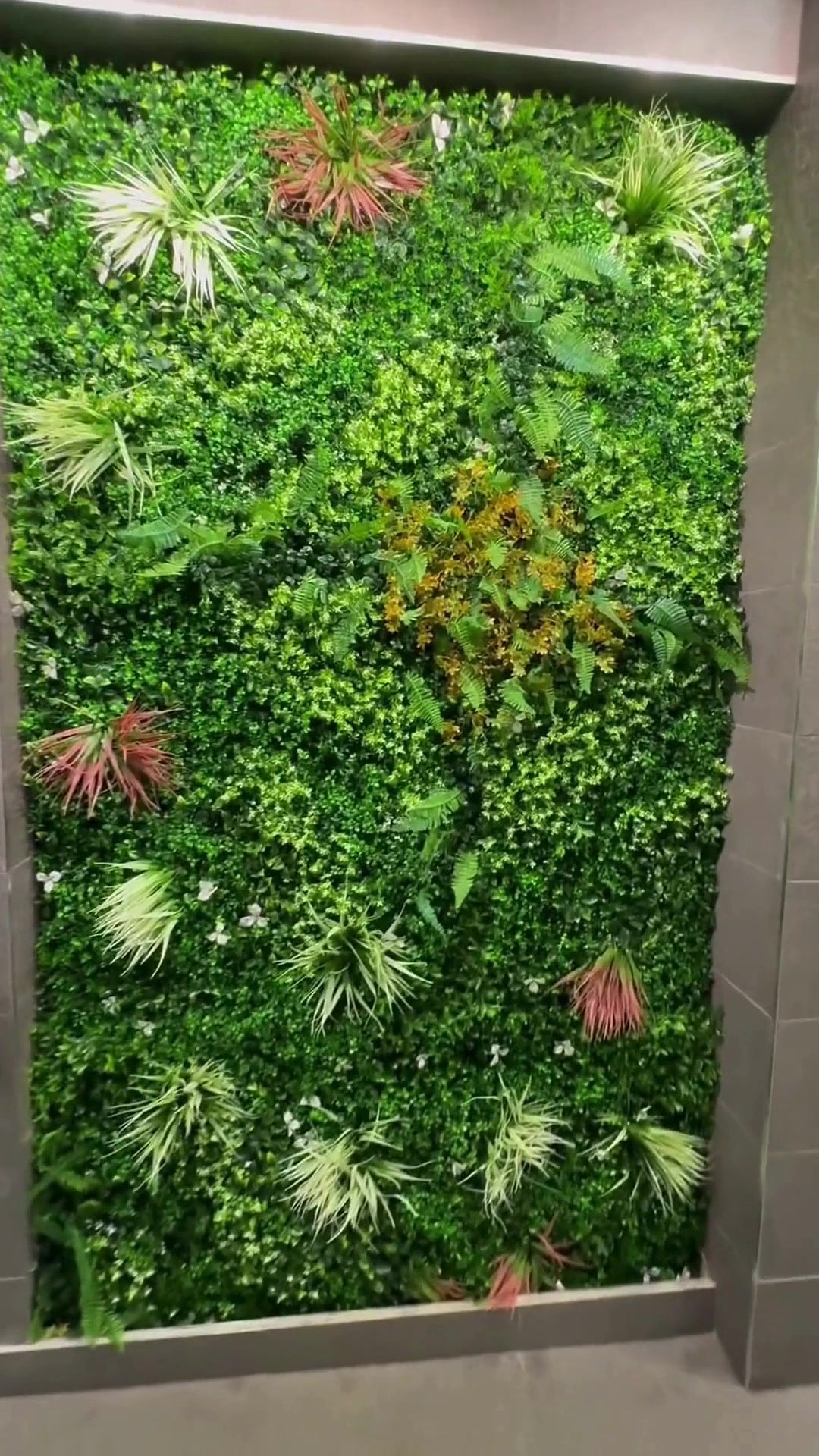 fake green wall feature wall hedge