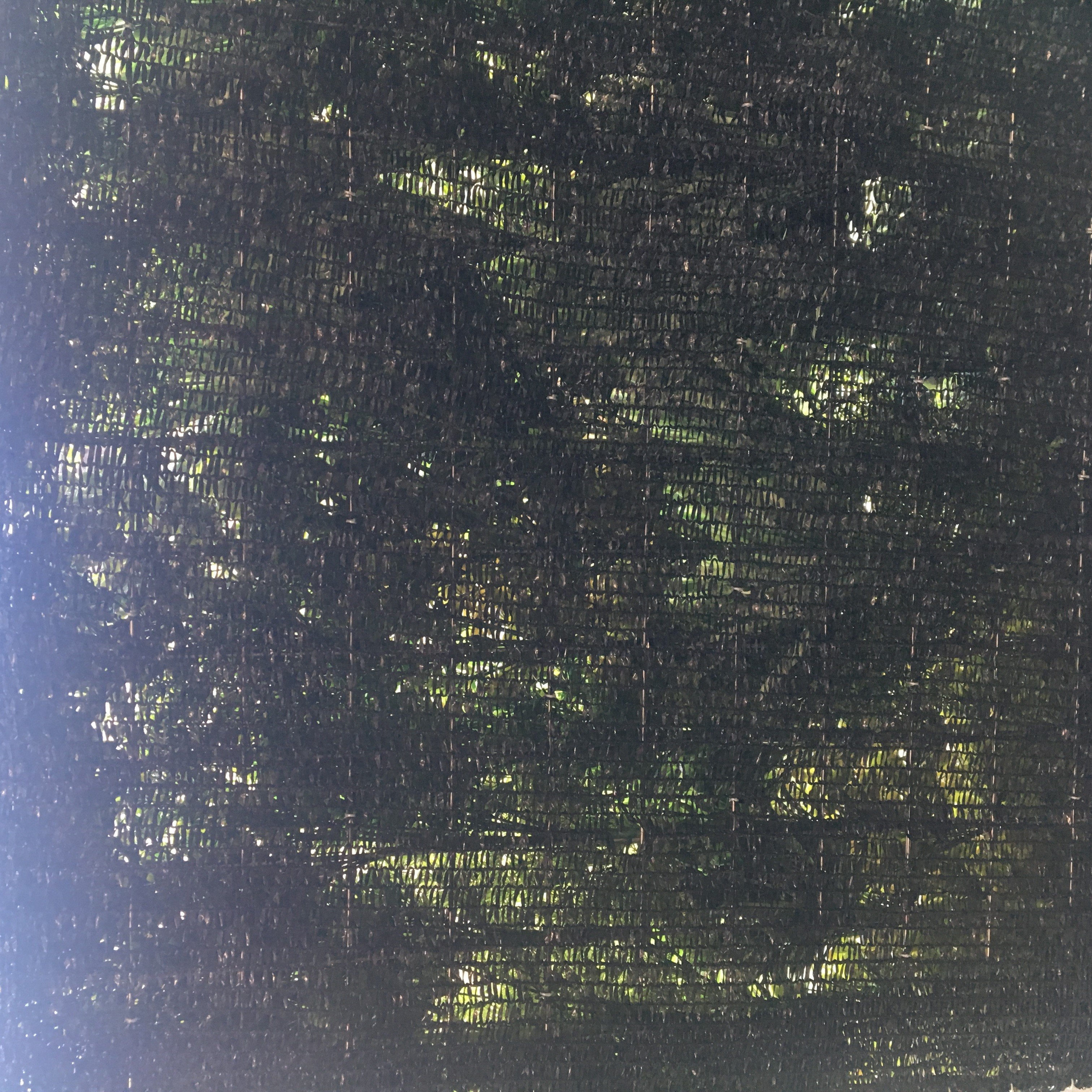 Autumn Amazing - XH-002