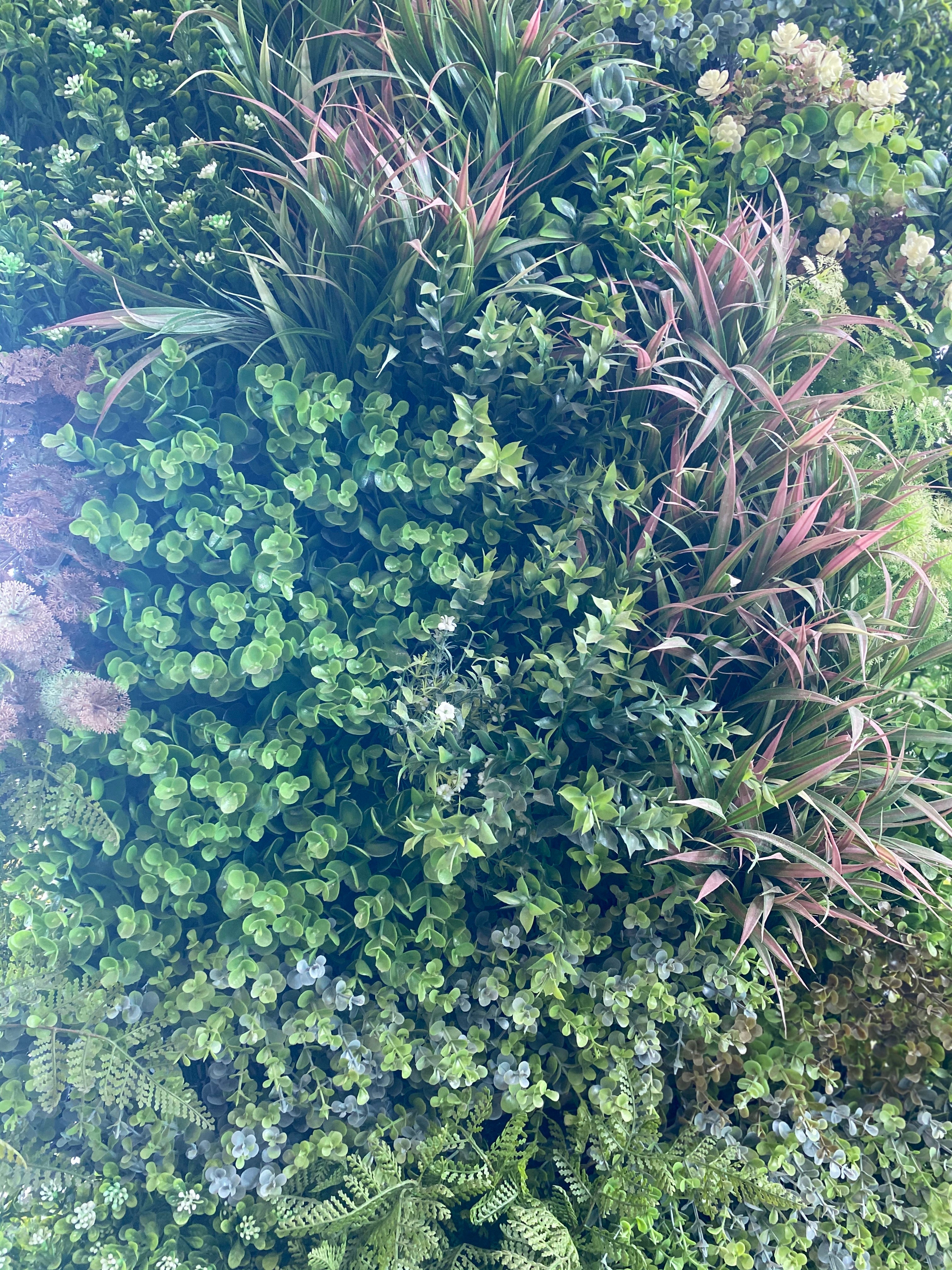 garden wall