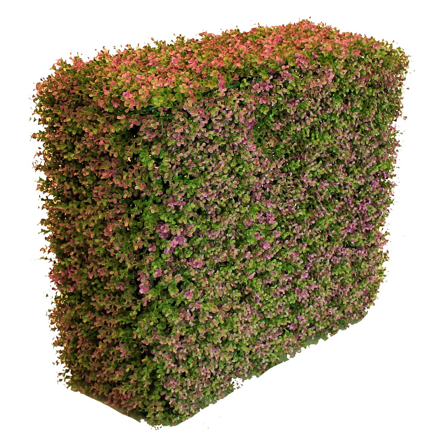 fake hedge