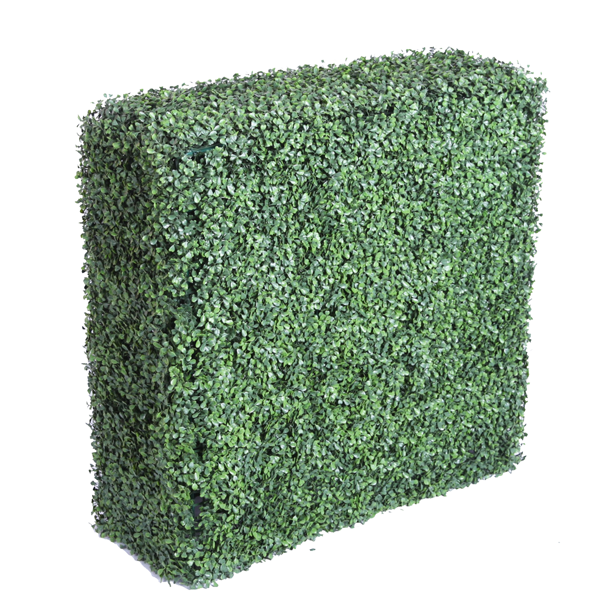 English Box